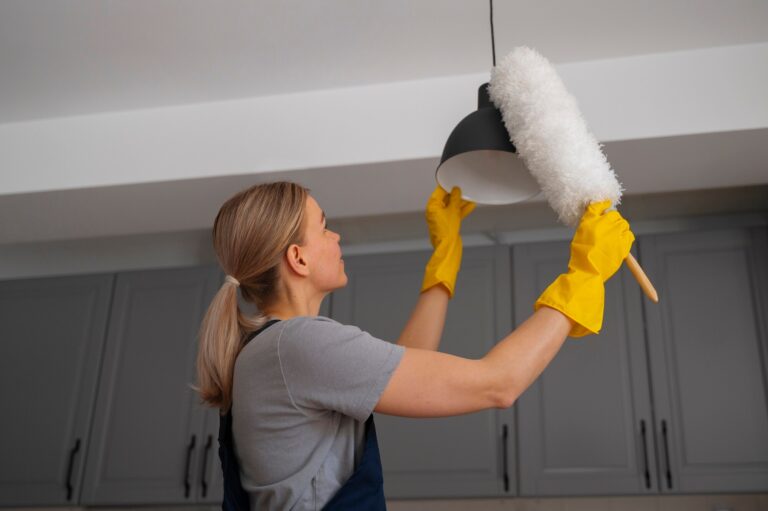 Dust removal services