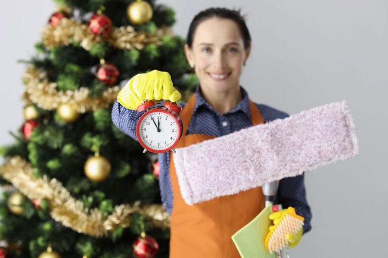 Holiday preparation cleaning
