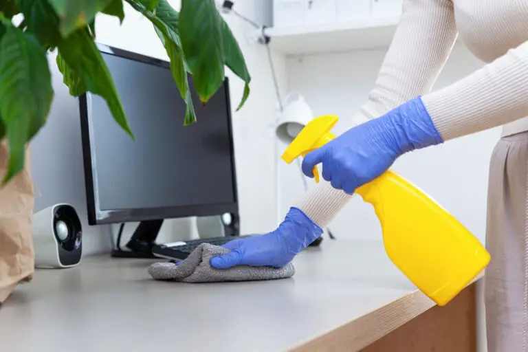 Professional housekeeper services