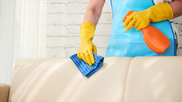 Upholstery Cleaning Service