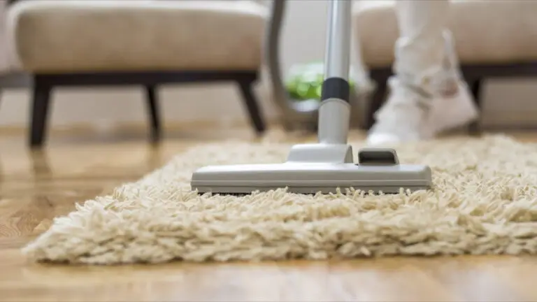 carpet cleaning services