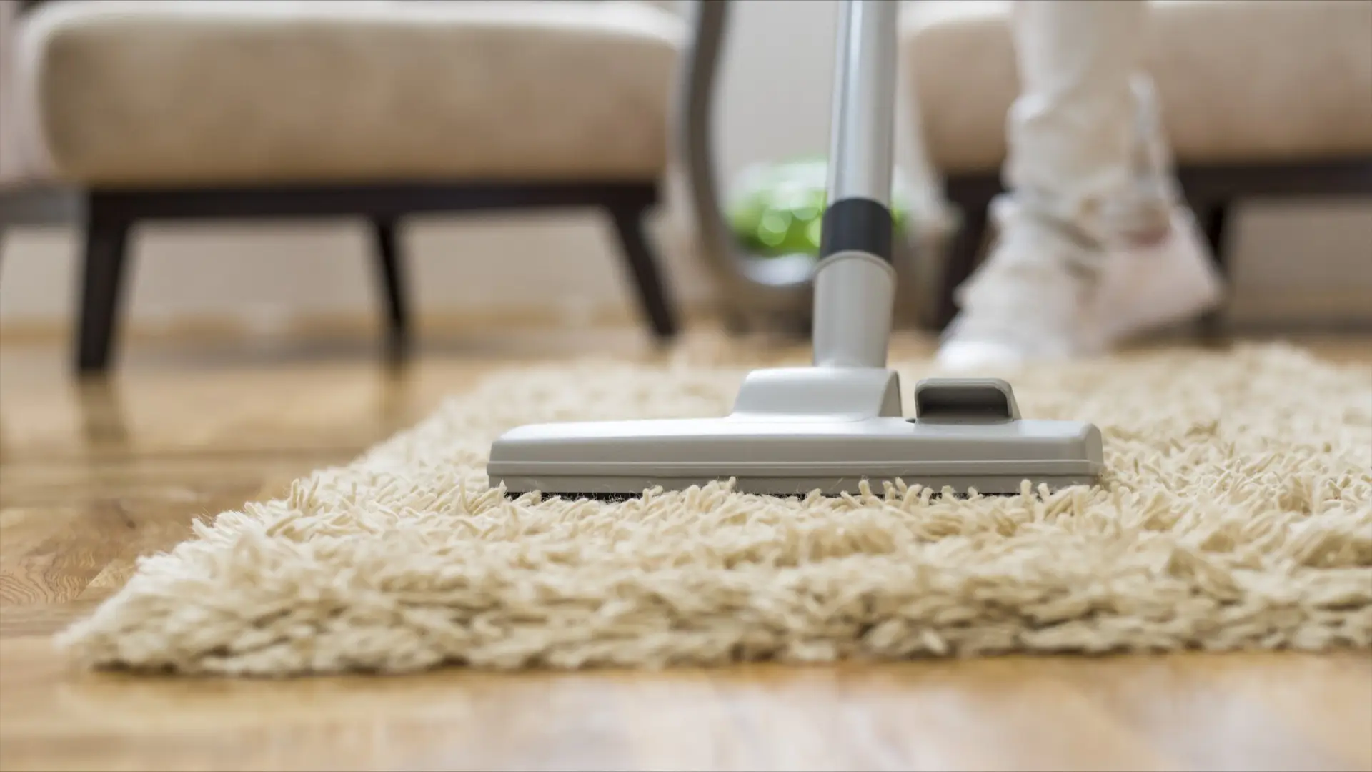 carpet cleaning services