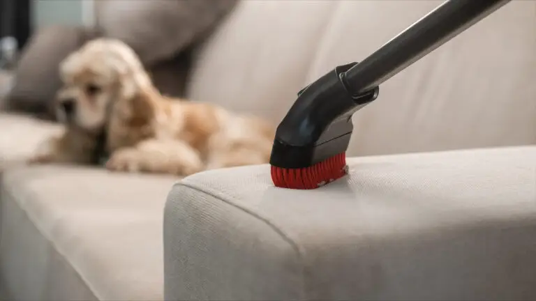 pet hair control
