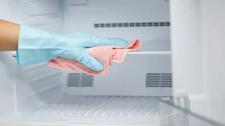 How to Deep Clean Your Refrigerator Inside and Out