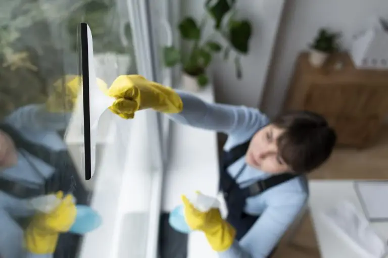 Professional House Cleaning